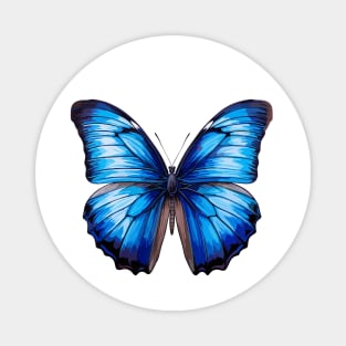 Blue Morpho Butterfly Magnet